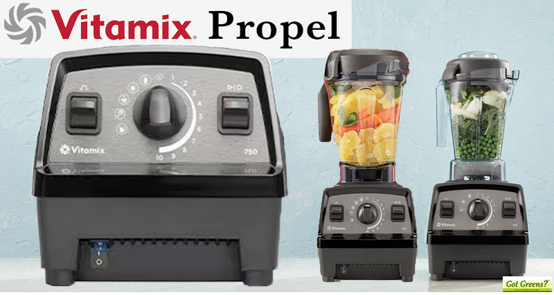 Vitamix Food Processor Review  Vitamix just released their Food